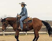 trail-riding-quarter-horse