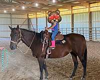 kid-safe-quarter-horse