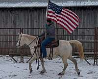 trail-riding-quarter-horse