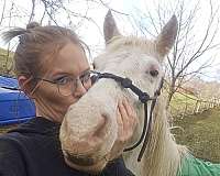 white-sport-pony