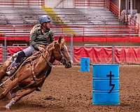 barrel-racing-quarter-horse