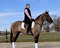 ranch-versatility-quarter-horse