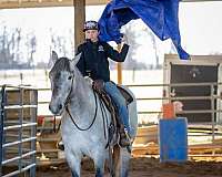 trail-riding-percheron-horse