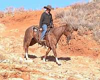 barrel-racing-quarter-horse