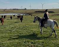 roping-quarter-horse