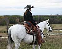 ranch-work-quarter-horse