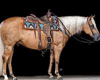 reining-quarter-horse