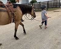 ranch-versatility-quarter-horse