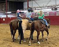 ranch-work-quarter-horse