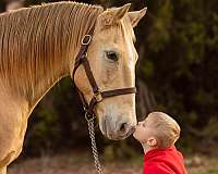 family-horse-quarter