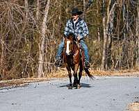 ranch-work-quarter-pony