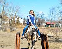 husband-safe-quarter-horse