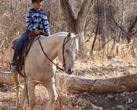 ranch-quarter-horse