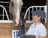 buckskin-dappled-buttermilk-horse