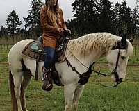 black-white-pinto-with-medicine-hat-horse