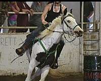 piebald-black-white-pinto-with-medicine-hat-horse