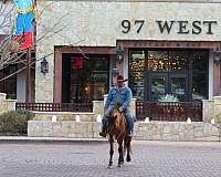 ranch-work-quarter-horse