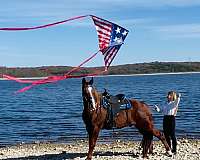 red-roan-with-some-roaning-horse