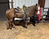 barrel-racing-quarter-horse