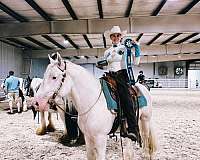 white-grey-tobiano-pintaloosa-horse