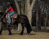 black-husband-safe-horse