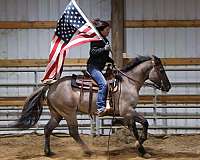 calf-roping-quarter-horse