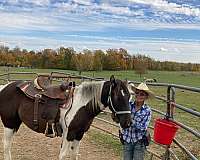 miss-sue-can-do-paint-horse