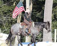 trail-riding-quarter-horse