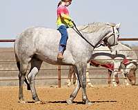 athletic-quarter-horse