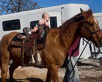 beginner-roping-gelding