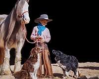 ranch-work-gypsy-vanner-horse