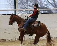 ranch-versatility-quarter-horse