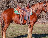 chestnut-blaze-horse