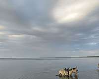 lesson-fjord-horse