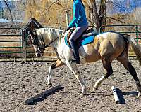 mountain-riding-paint-horse