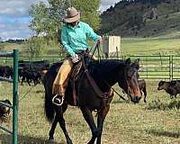 calf-roping-quarter-horse