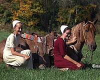 red-roan-yout-horse