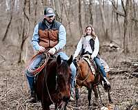 barrel-racing-quarter-horse