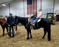 safe-kids-quarter-horse