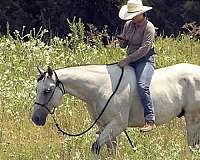 ranch-quarter-horse