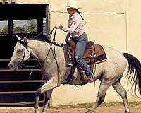 ranch-work-quarter-horse