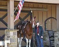 tovero-husband-safe-pony