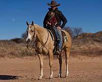 trail-riding-quarter-horse