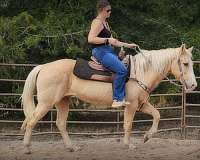 kids-palomino-horse