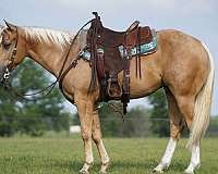 roping-quarter-horse