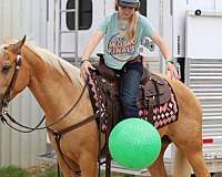 western-riding-quarter-horse