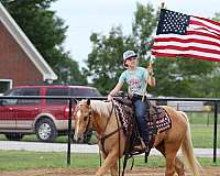 palomino-athletic-horse