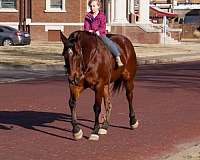 athletic-quarter-horse