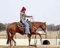 ranch-versatility-quarter-horse