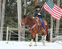 ranch-versatility-paint-horse